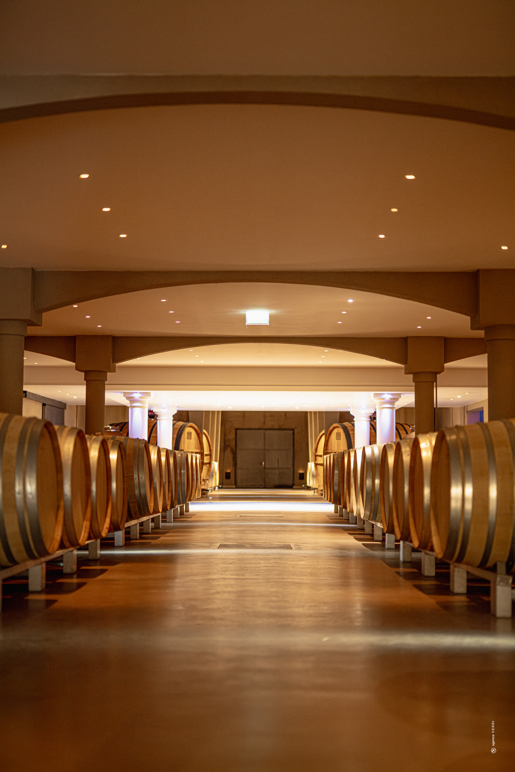 Allée centrale et rangées de barriques du Château de Lastours, photographie Agence Verri.
